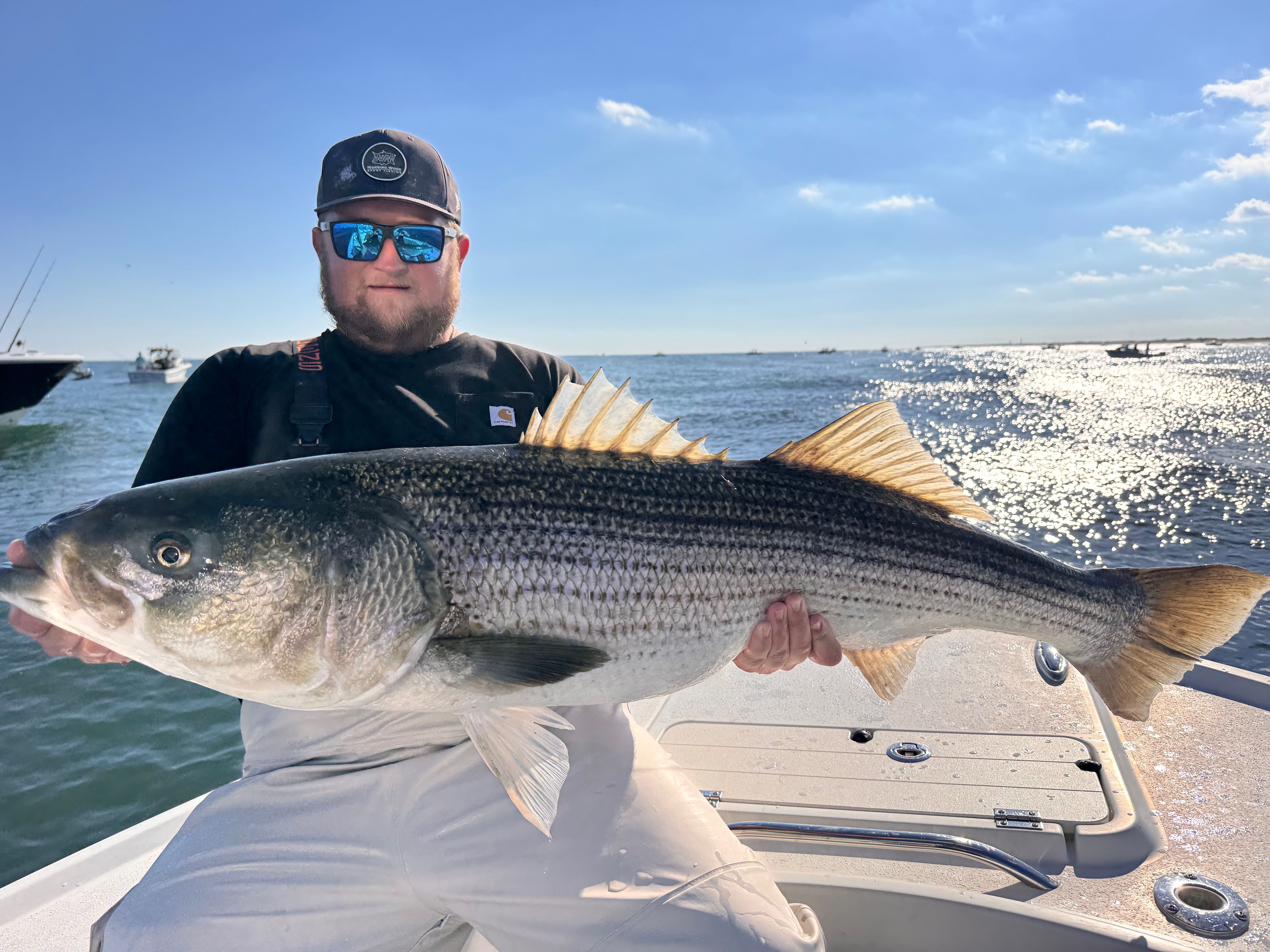 Large striped bass caught during fishing charter in Barnegat Light NJ