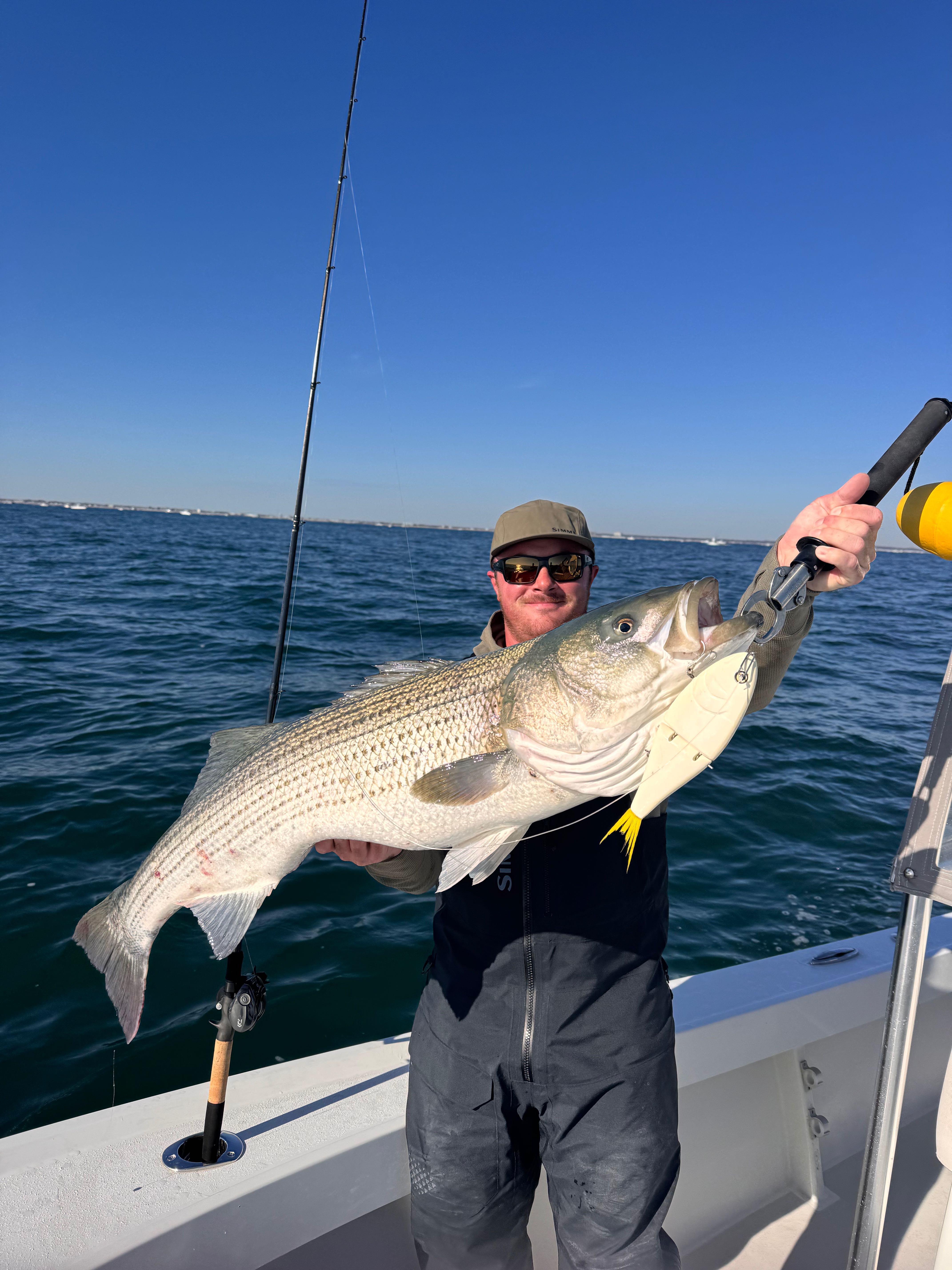 Large striped bass caught during fishing tour in Barnegat Light NJ
