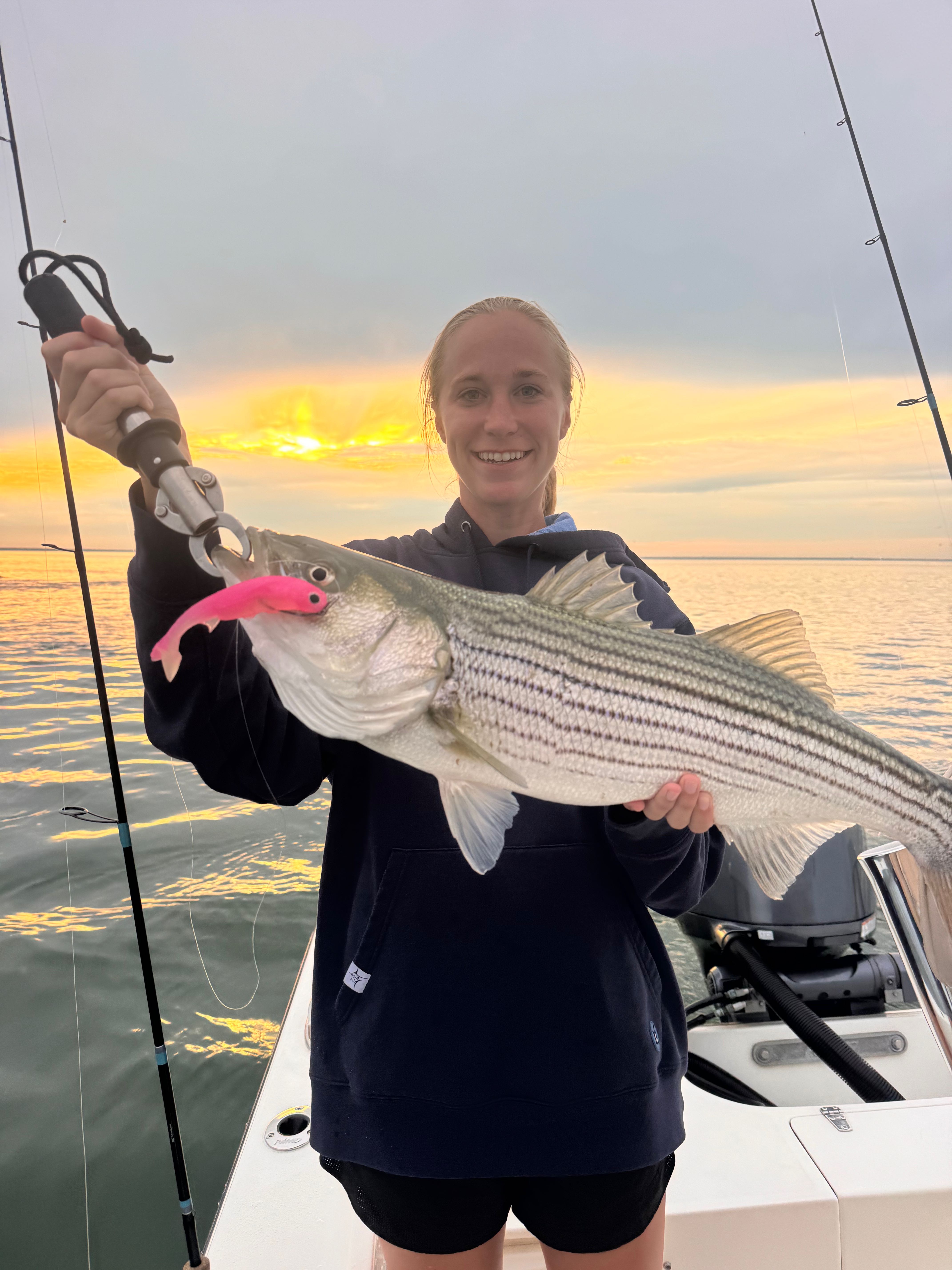 Striped bass caught on fishing charter in Barnegat Light NJ at sunset