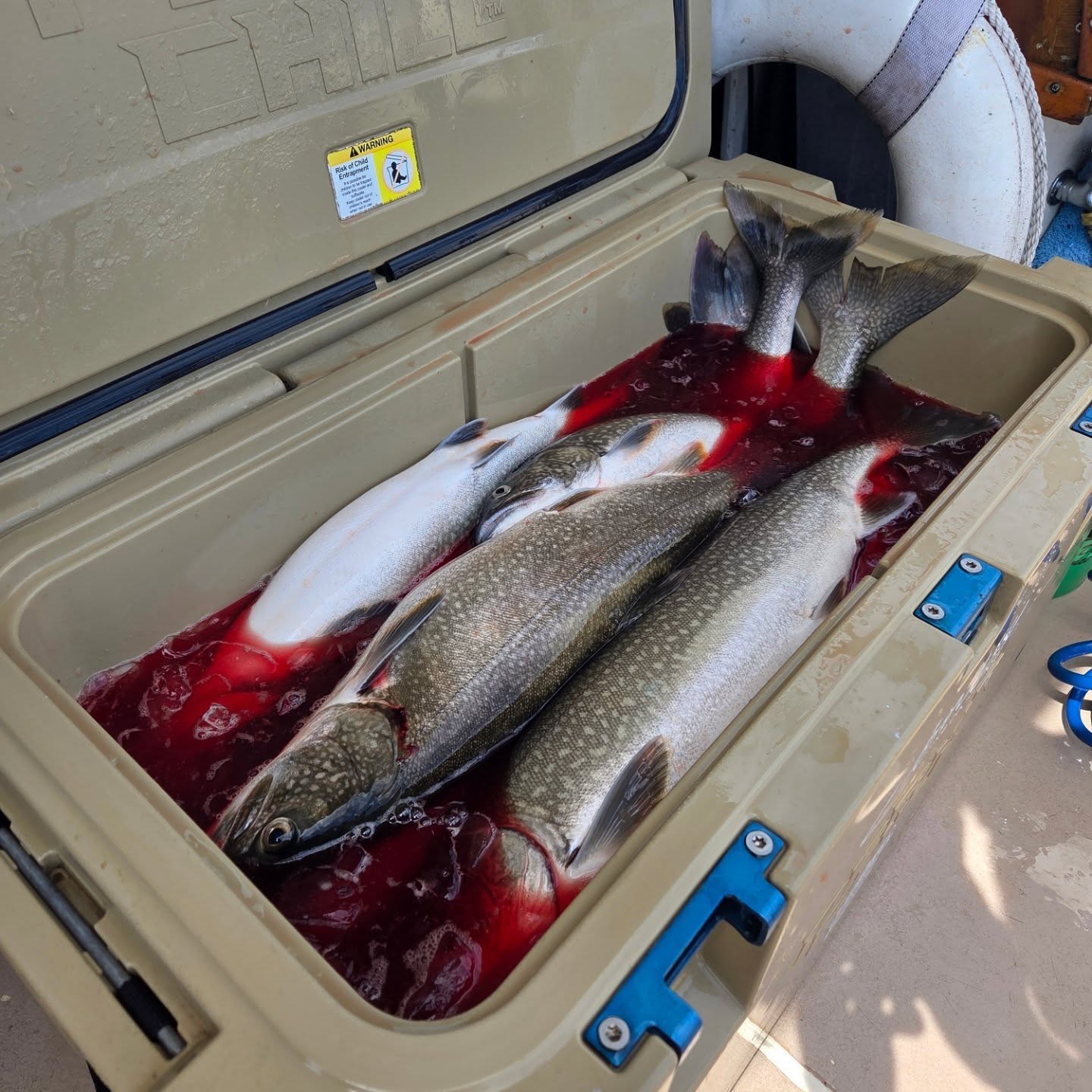Scenic view of Minnesota landscape during fishing trip