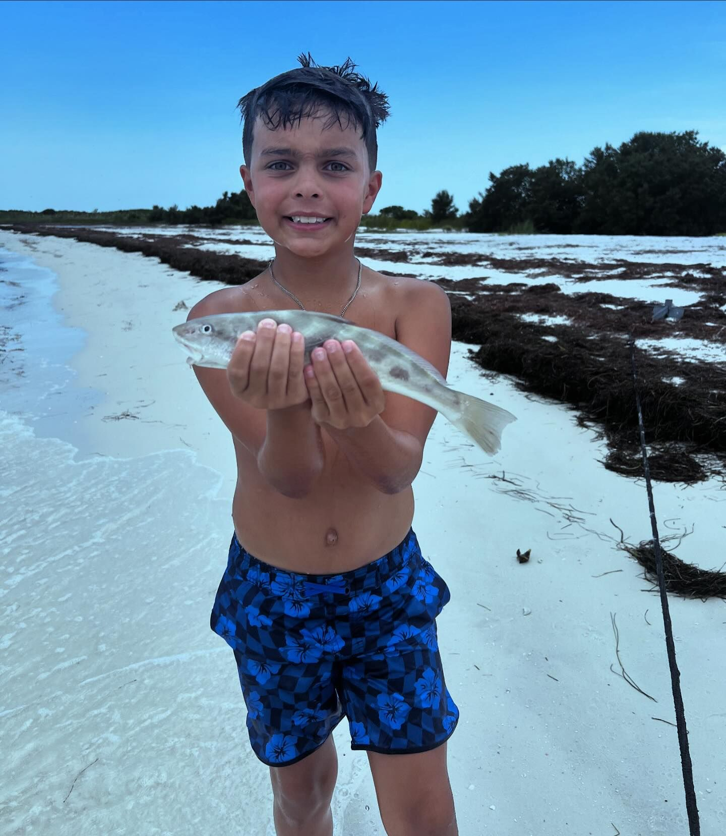 Southern Kingcroaker caught during cruise fishing in Clearwater FL