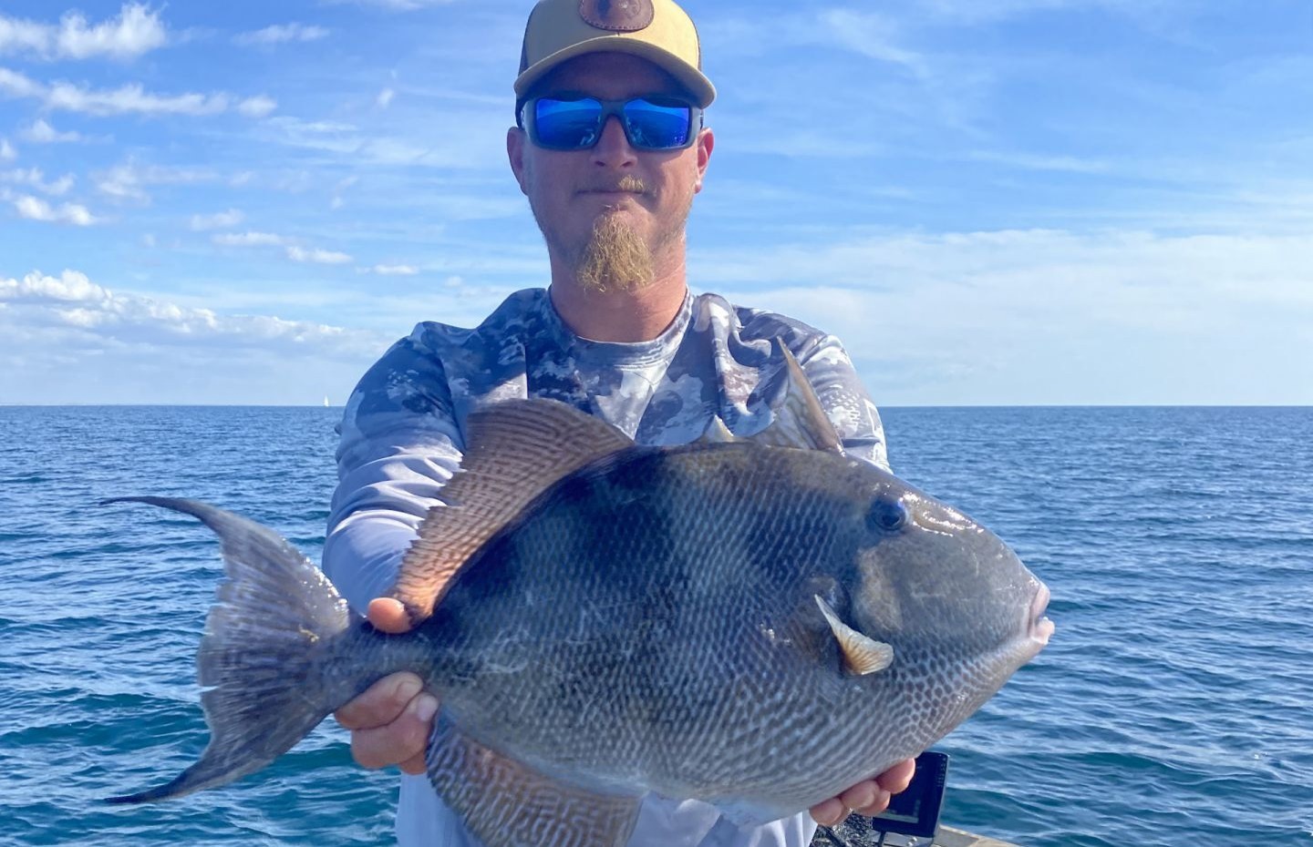 Grey Triggerfish caught while fishing in FL