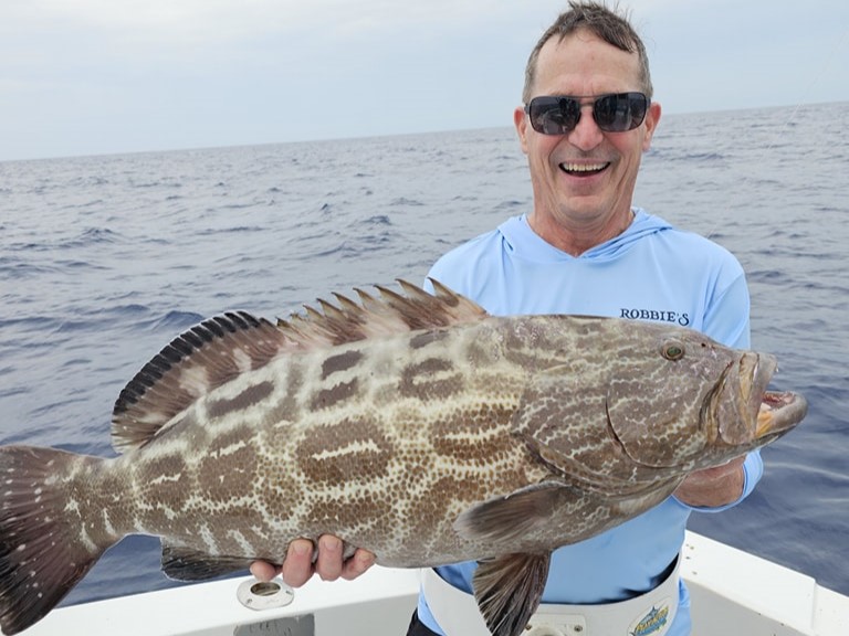 A single black grouper fish caught in Key West