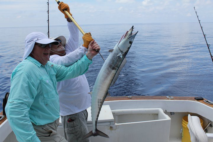 A single person fishing in Florida
