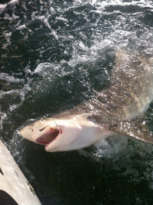 Fishing adventure in FL