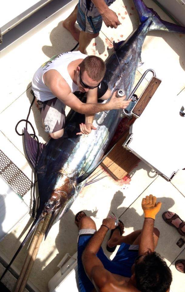 Fisherman with Atlantic Sailfish catch in Honolulu