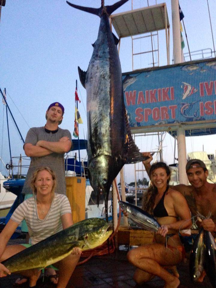 Two blue marlin, each 64 inches long, caught in HI