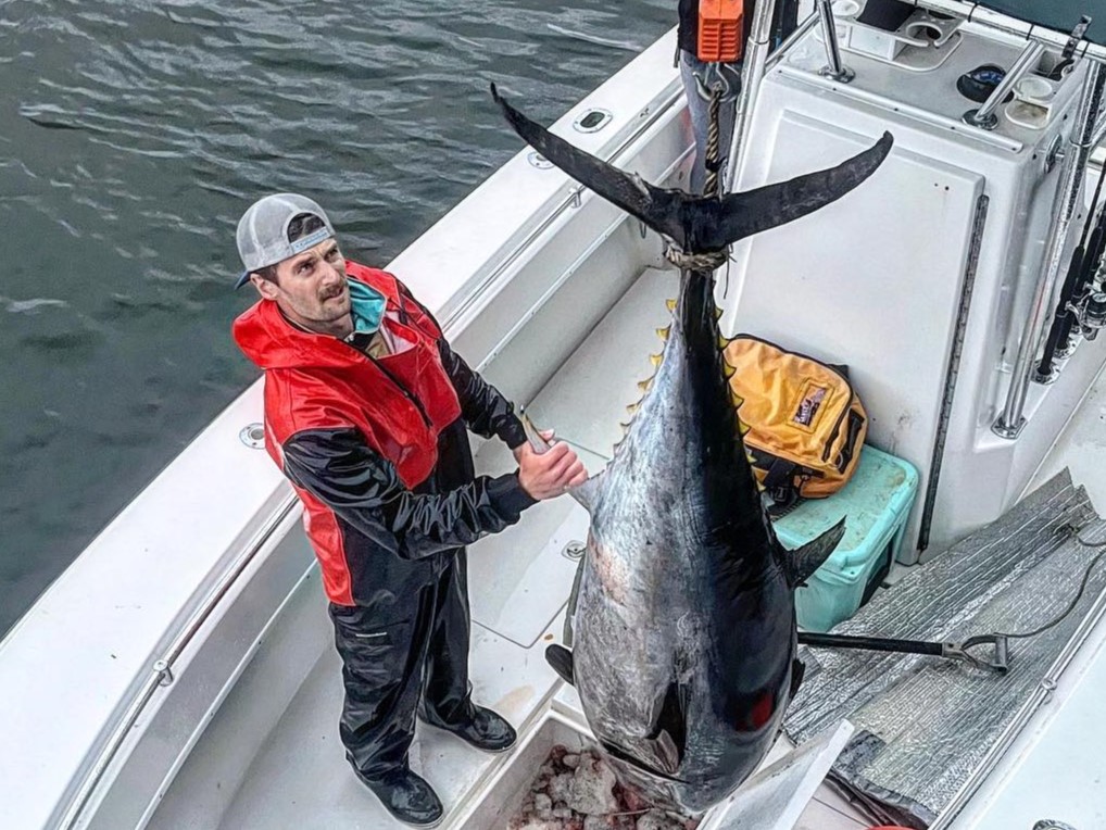 Blackfin tuna fishing in Duxbury