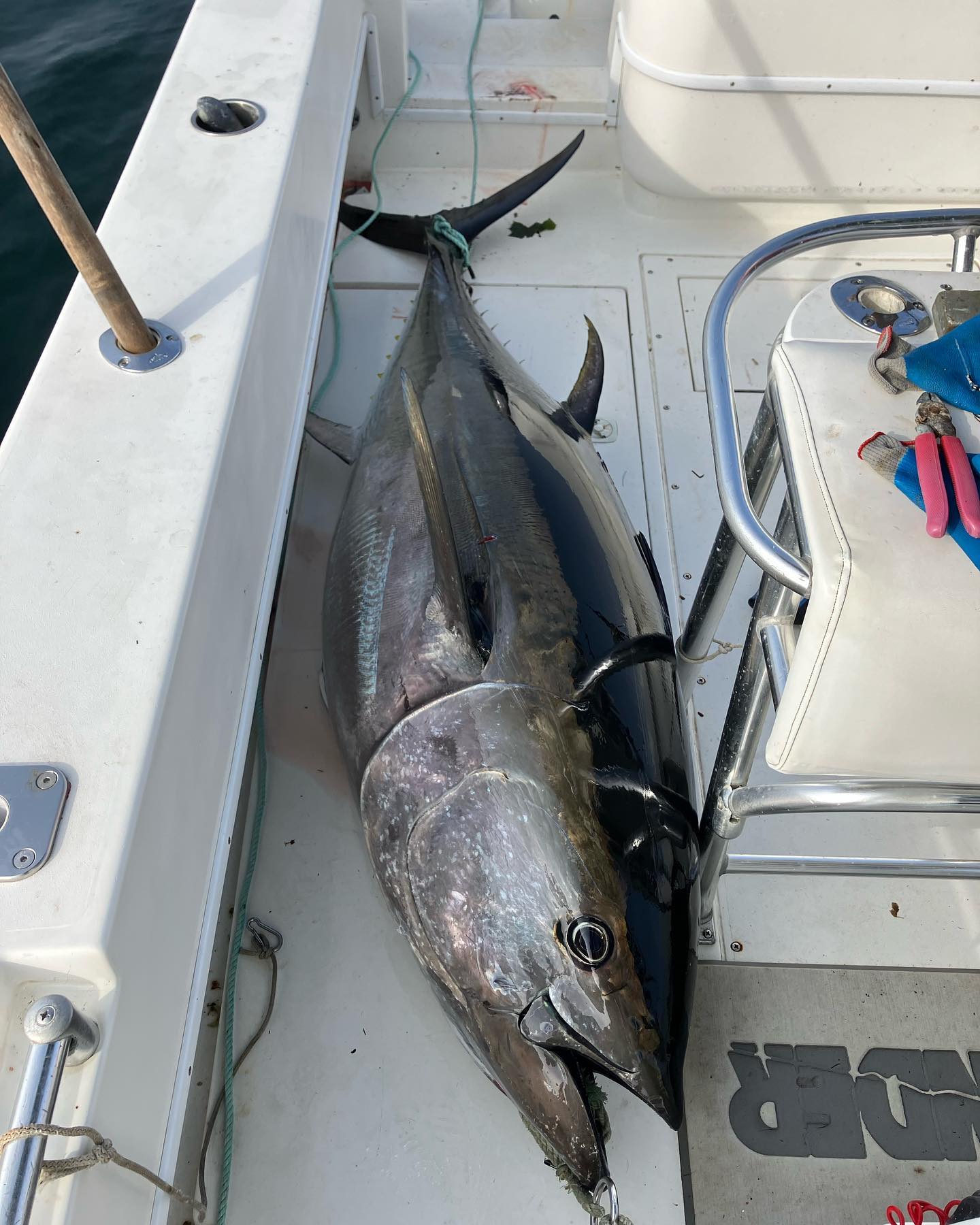 Fishing in Duxbury