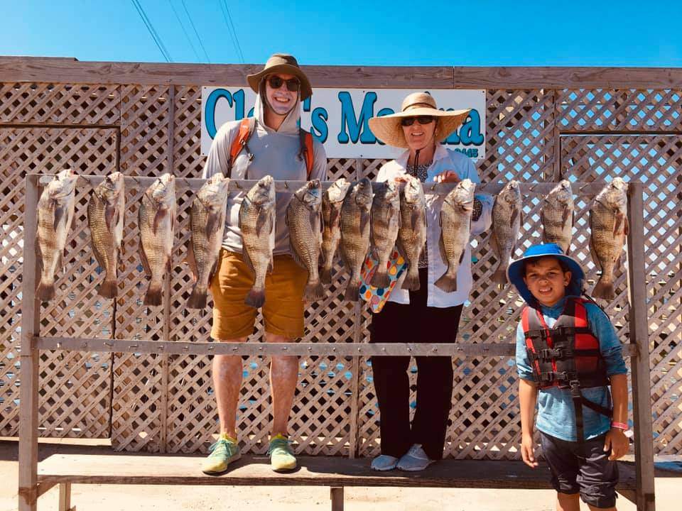 6 black drum fish caught in TX