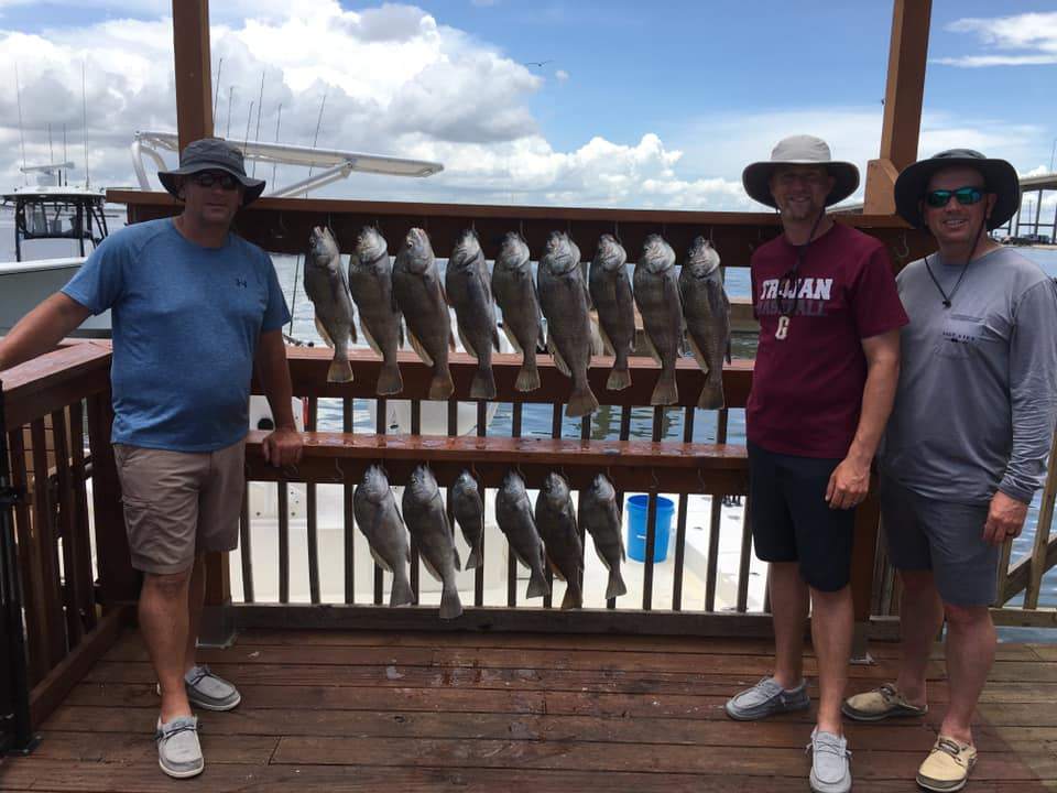 8 Black Drum fish caught in TX