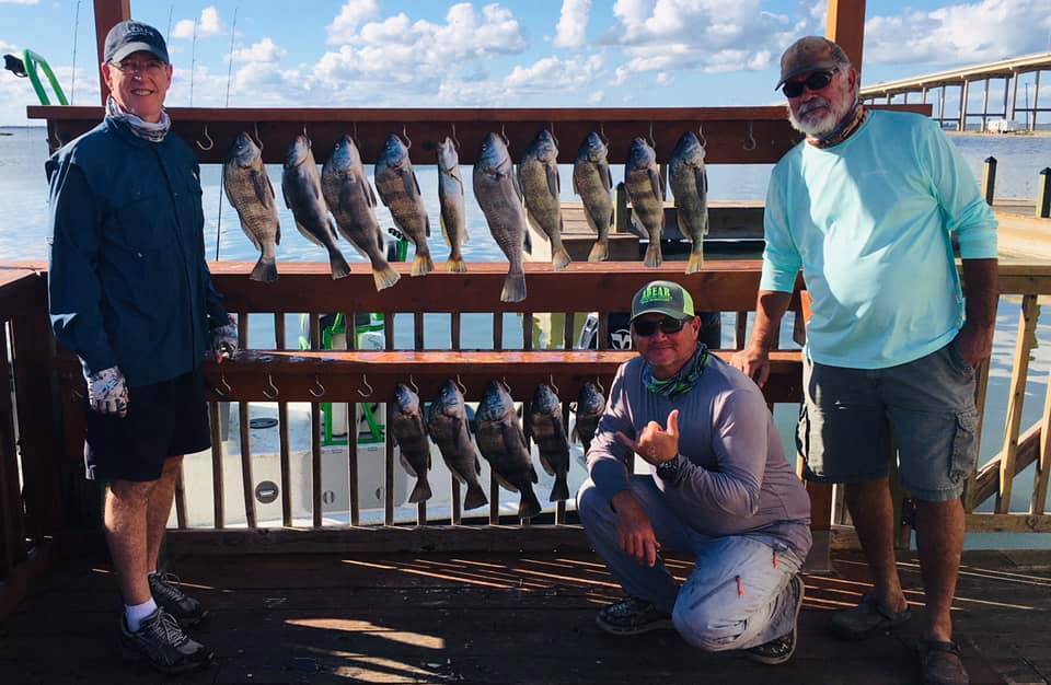 5 fish caught in Corpus Christi