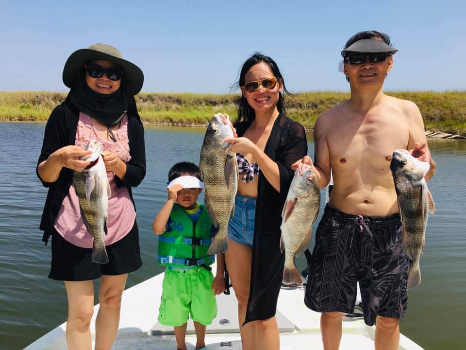 4 sheepshead and black drum fish caught in Corpus Christi