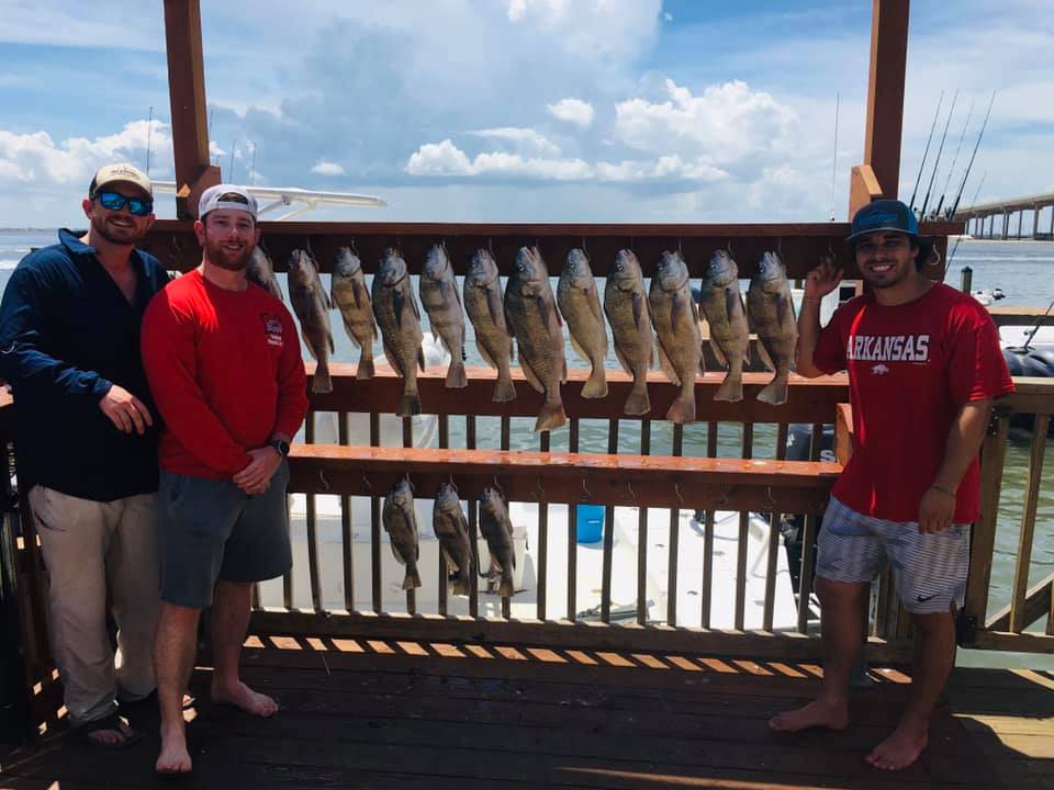 6 fish caught in Corpus Christi