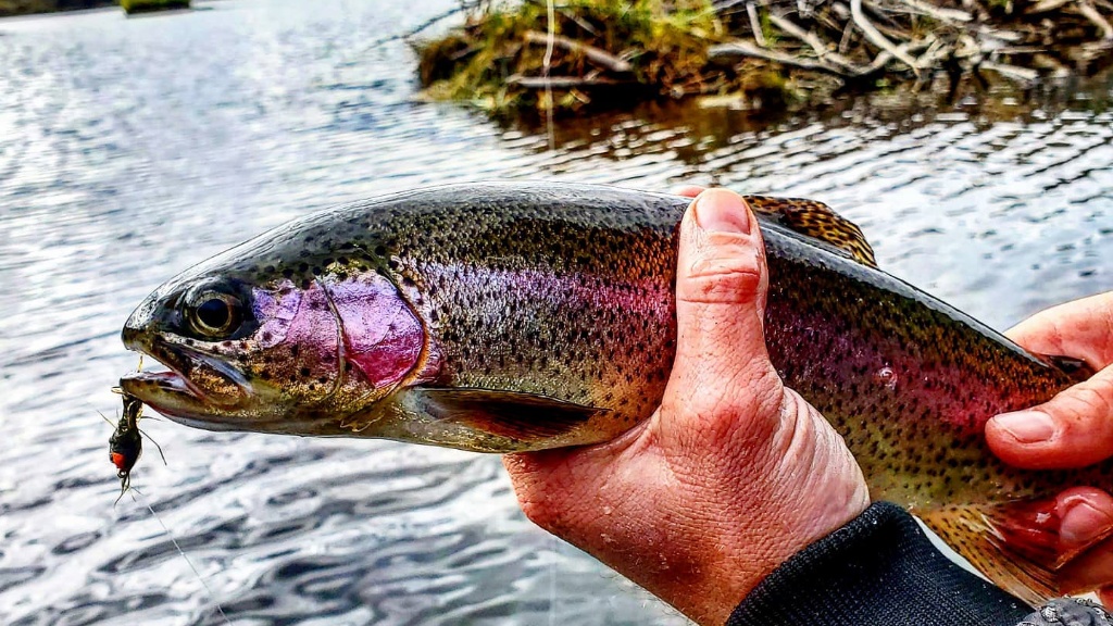 A lone angler fishing in the beautiful state of WA