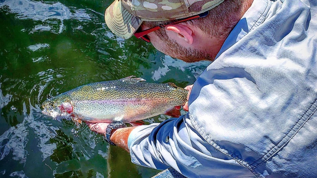 A rainbow trout caught in WA