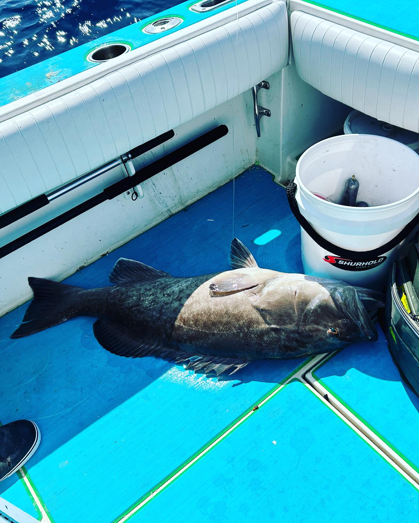 Photograph of a Gag Grouper caught while fishing in FL