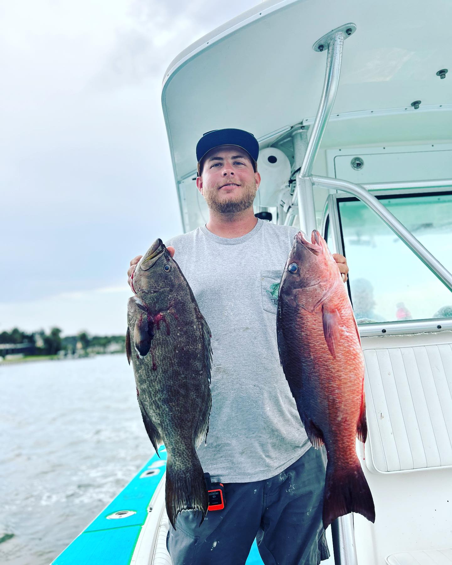 Two mangrove red snapper, 24 inches long, caught while fishing in FL