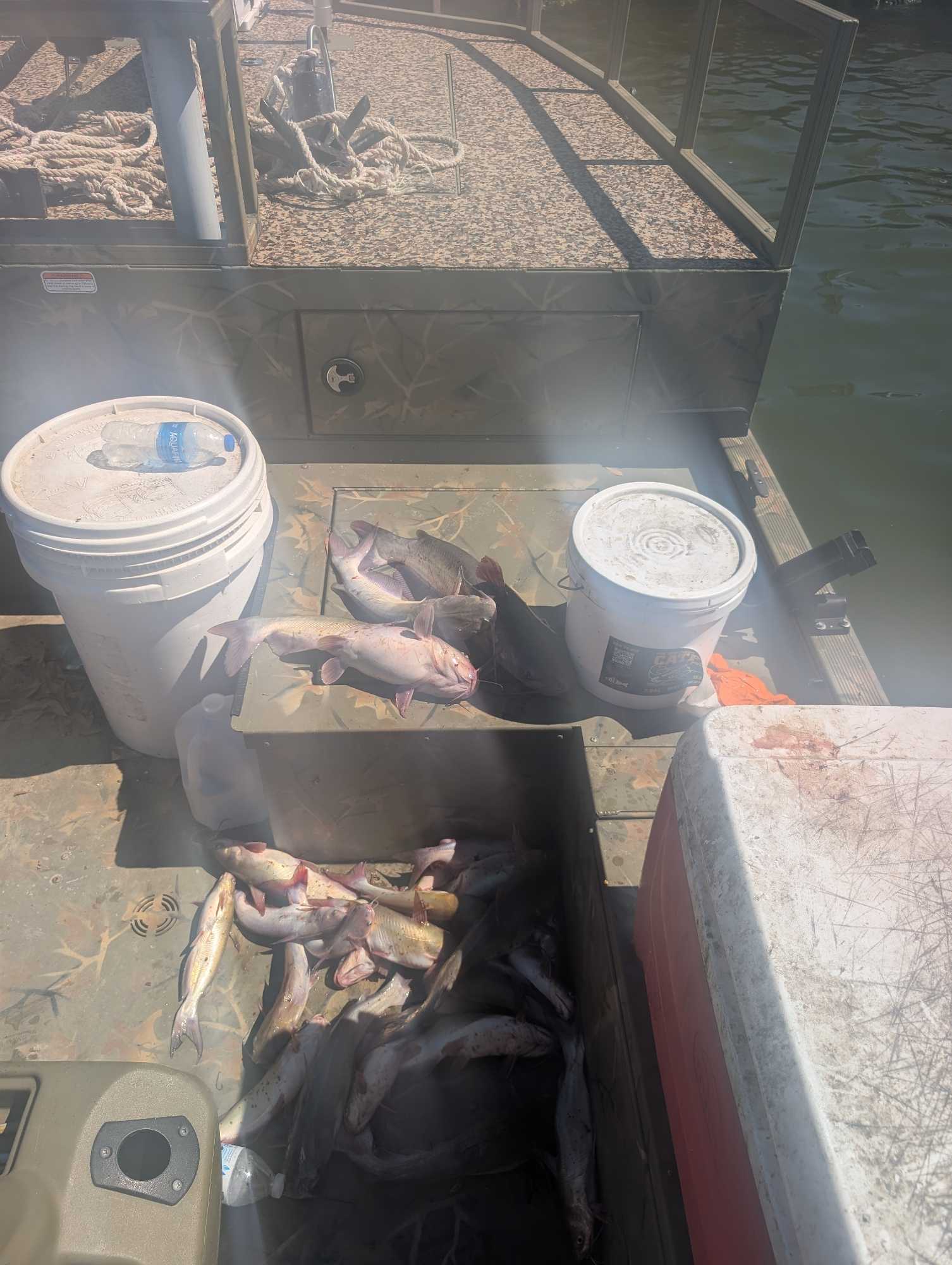 Fresh caught channel catfish in boat compartment with white buckets in Willis TX