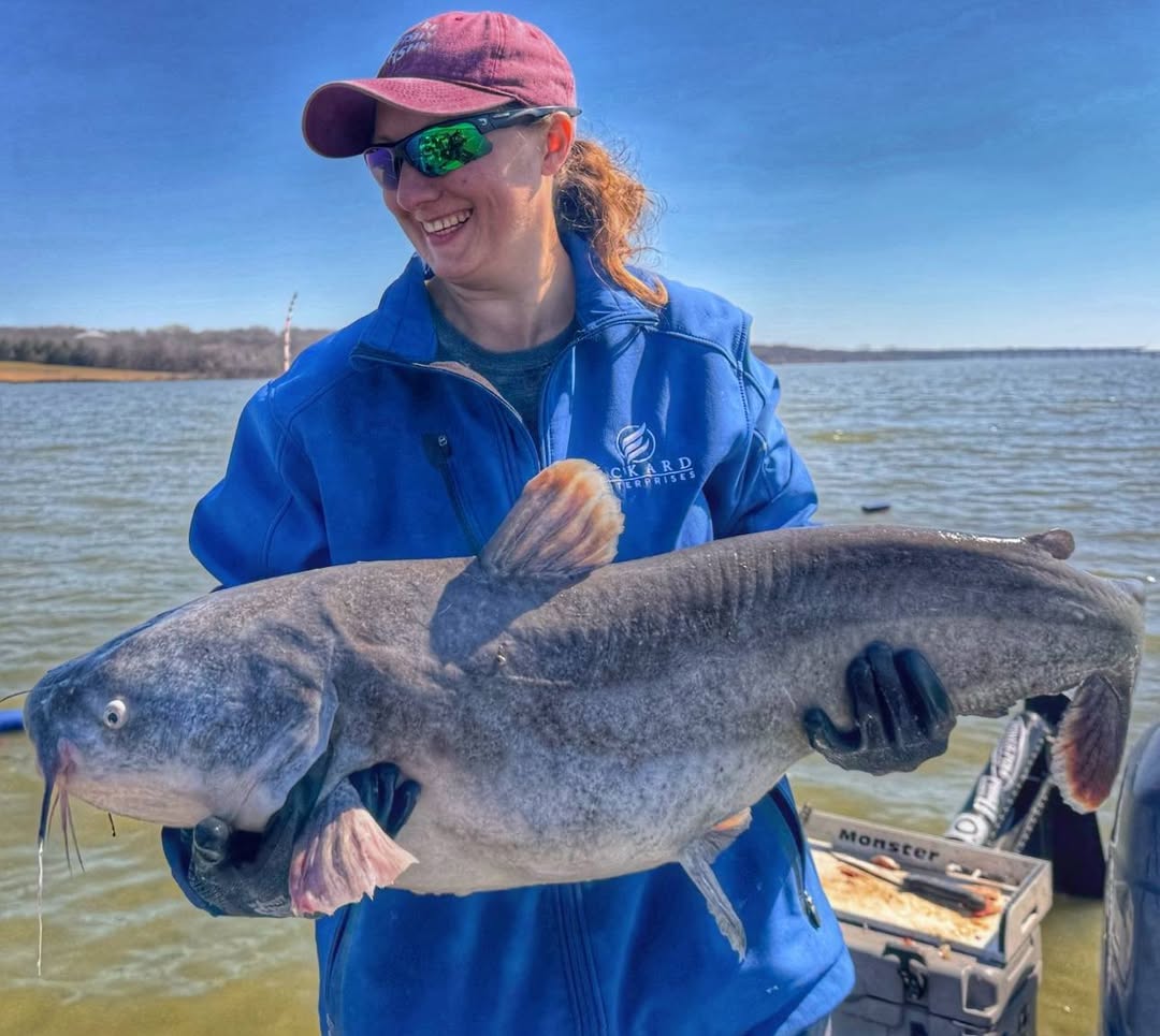 Large blue catfish caught fishing in Cayuga TX waters