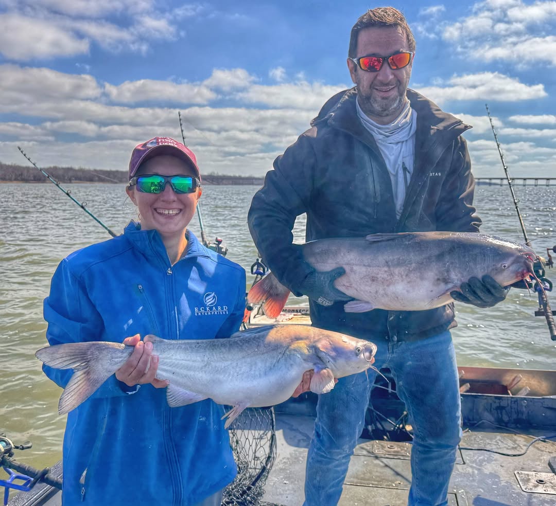 Two large catfish caught fishing in Cayuga TX, displaying white catfish and blue catfish species