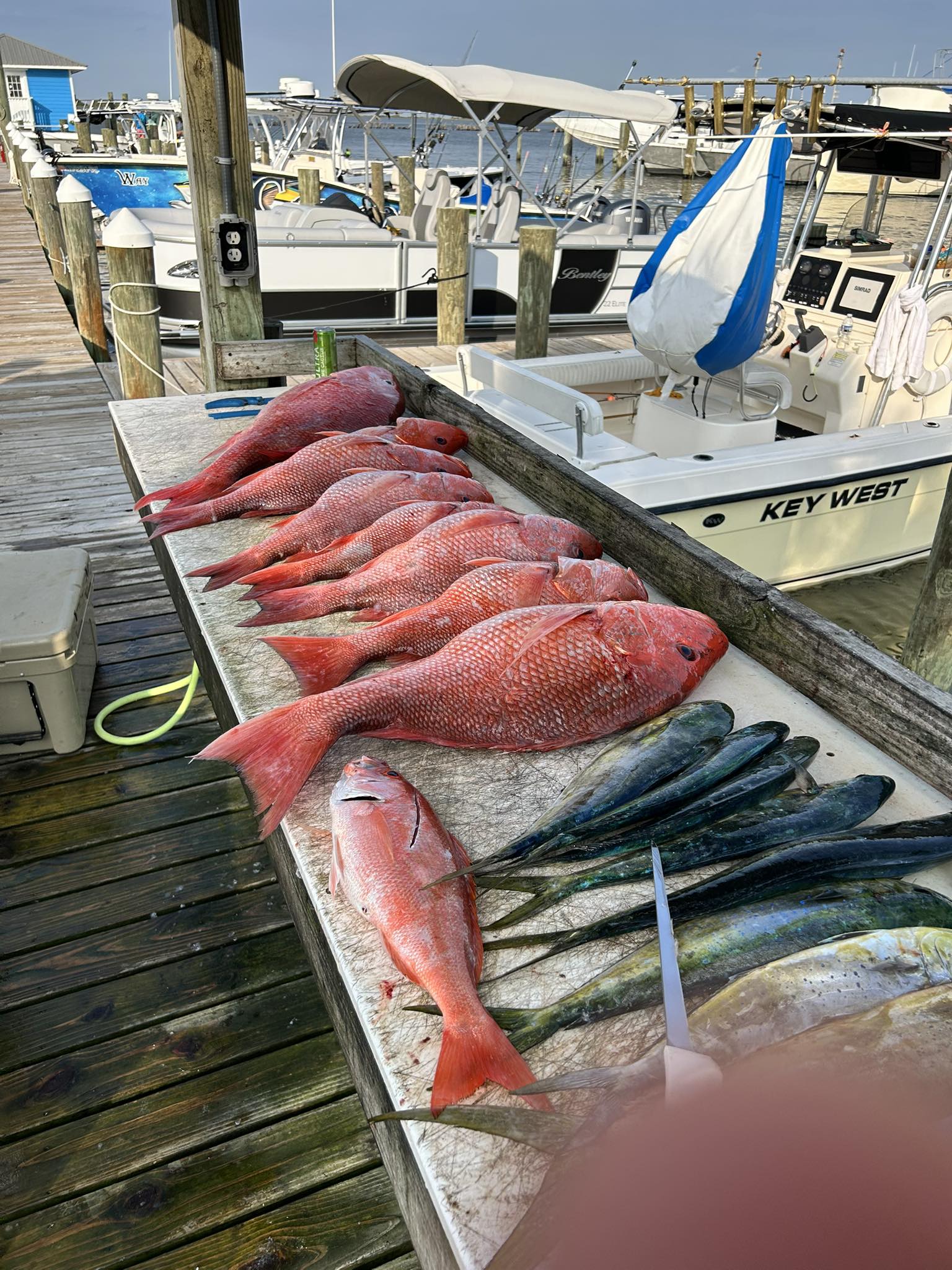 Two fishermen fishing in AL