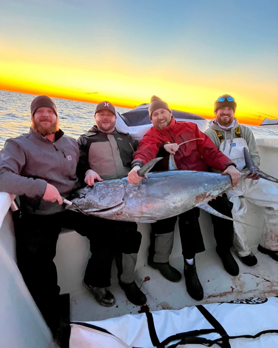 Yellowfin tuna caught on cruises and fishing trip in AL