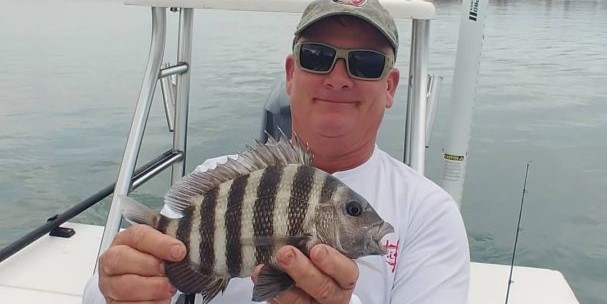 Sheepshead fish caught during fishing trip in St. Augustine