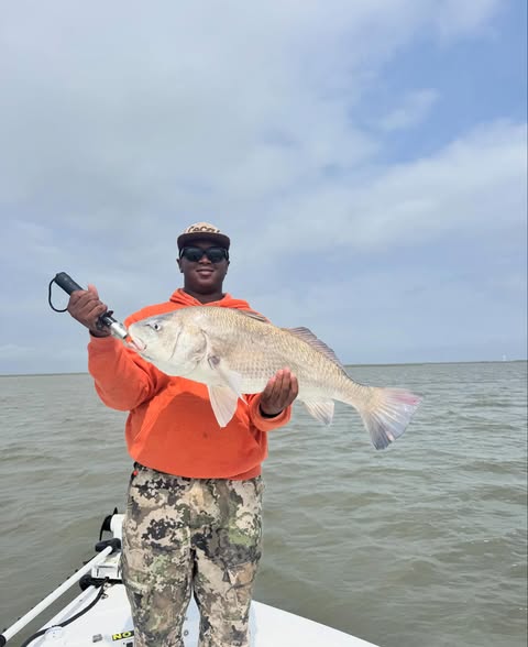 Black drum catch displayed on fishing boat in League City TX