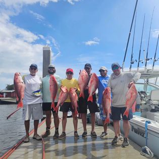 5 big fish caught in FL during fishing