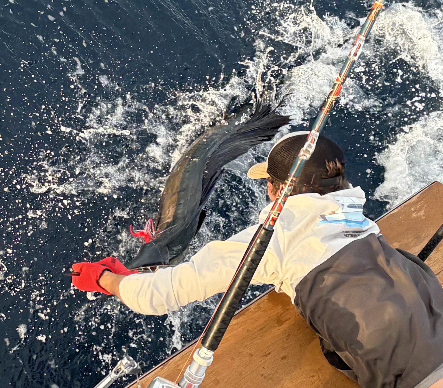 Large fish being caught on fishing line in ocean waters near Hatteras NC
