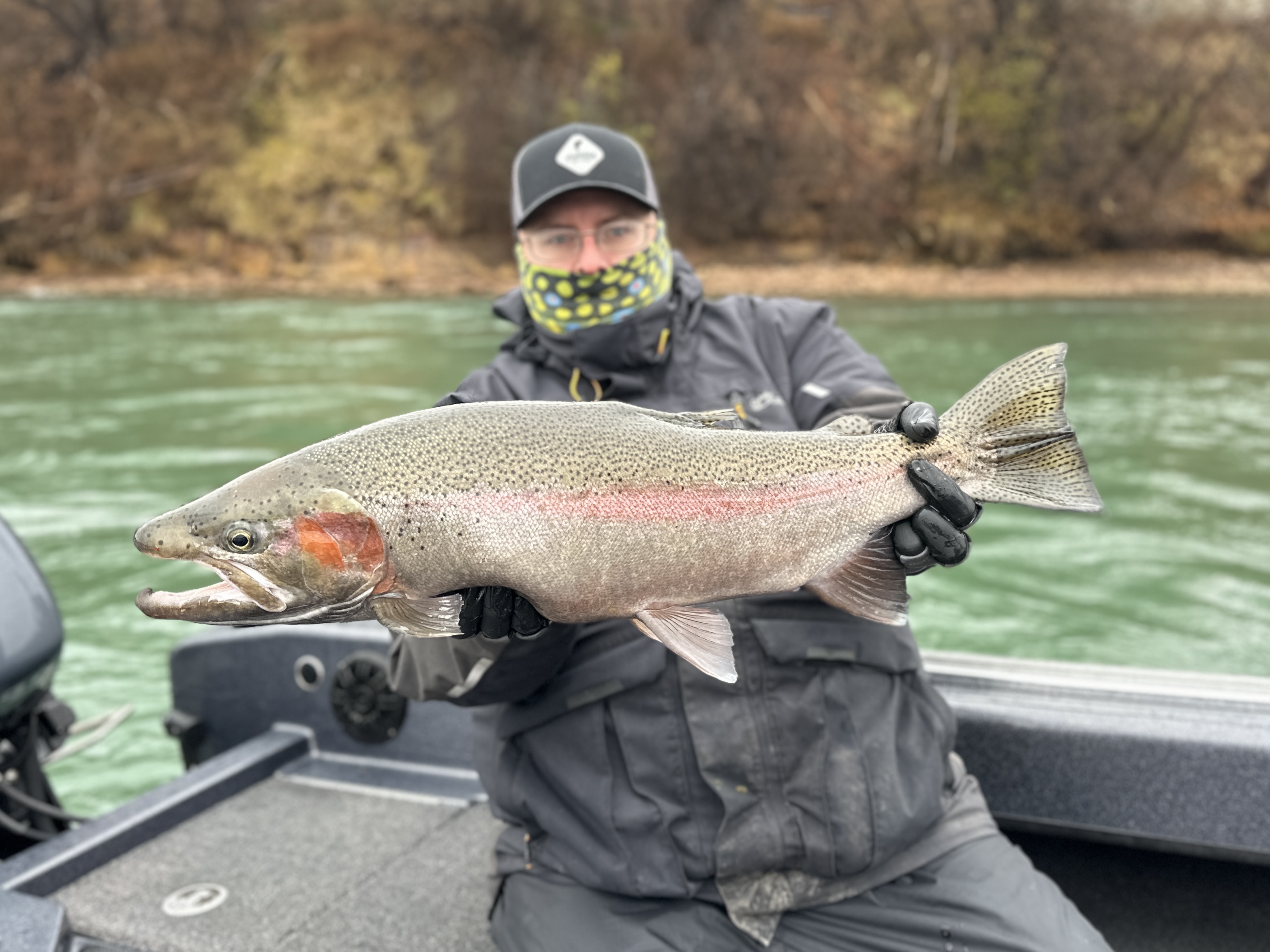 Angler with a large rainbow trout fish caught while fishing in New York