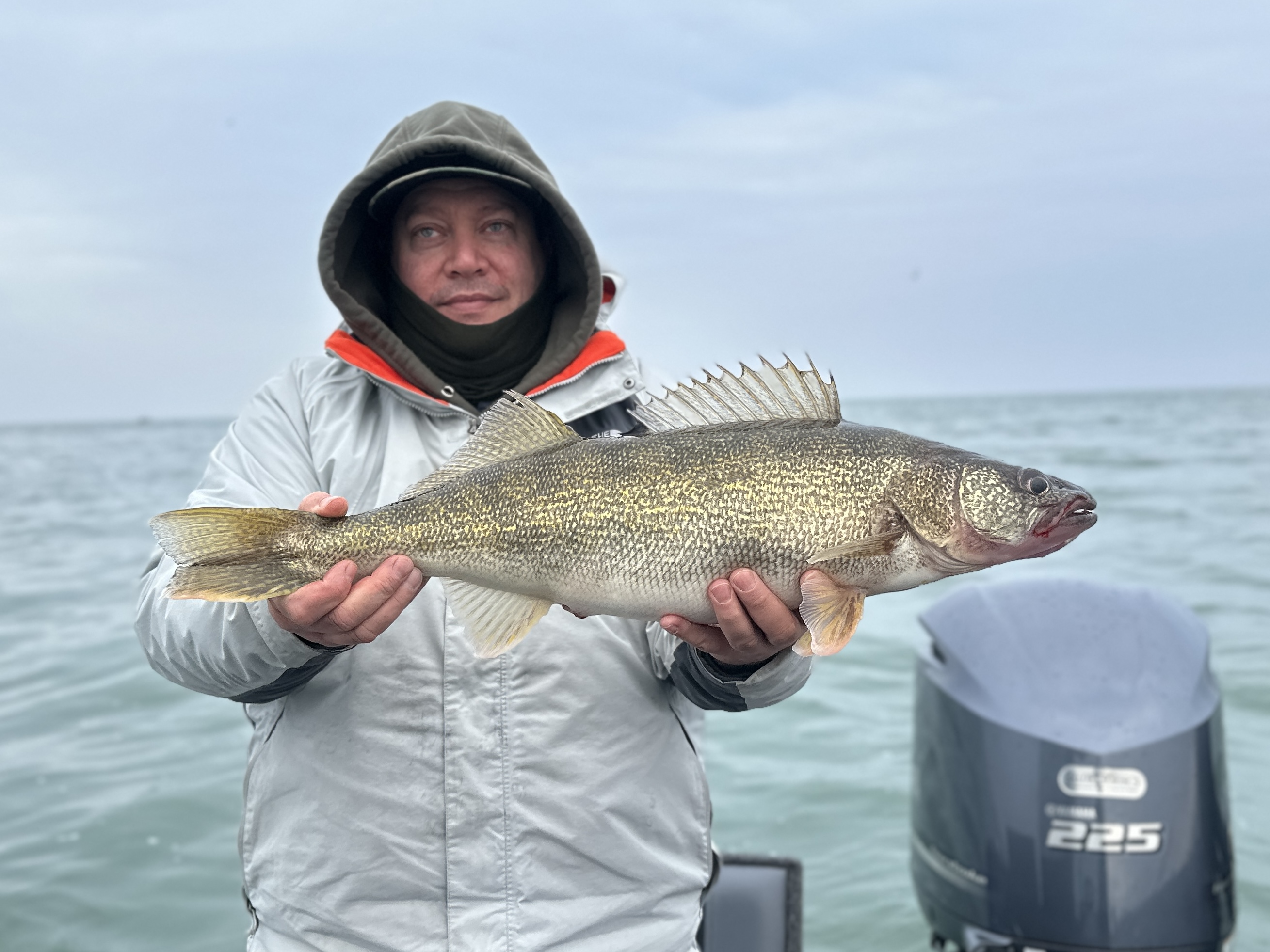 Walleye fish caught in Tonawanda