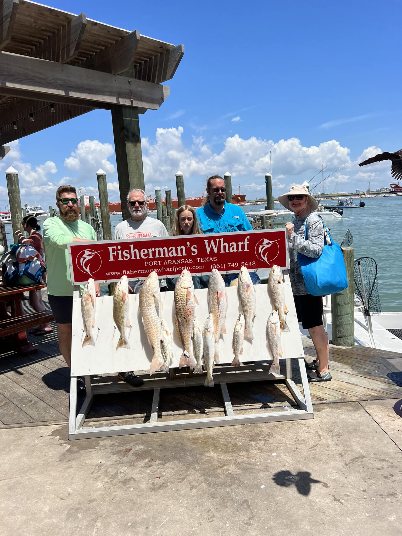 7 redfish caught fishing in Port Aransas