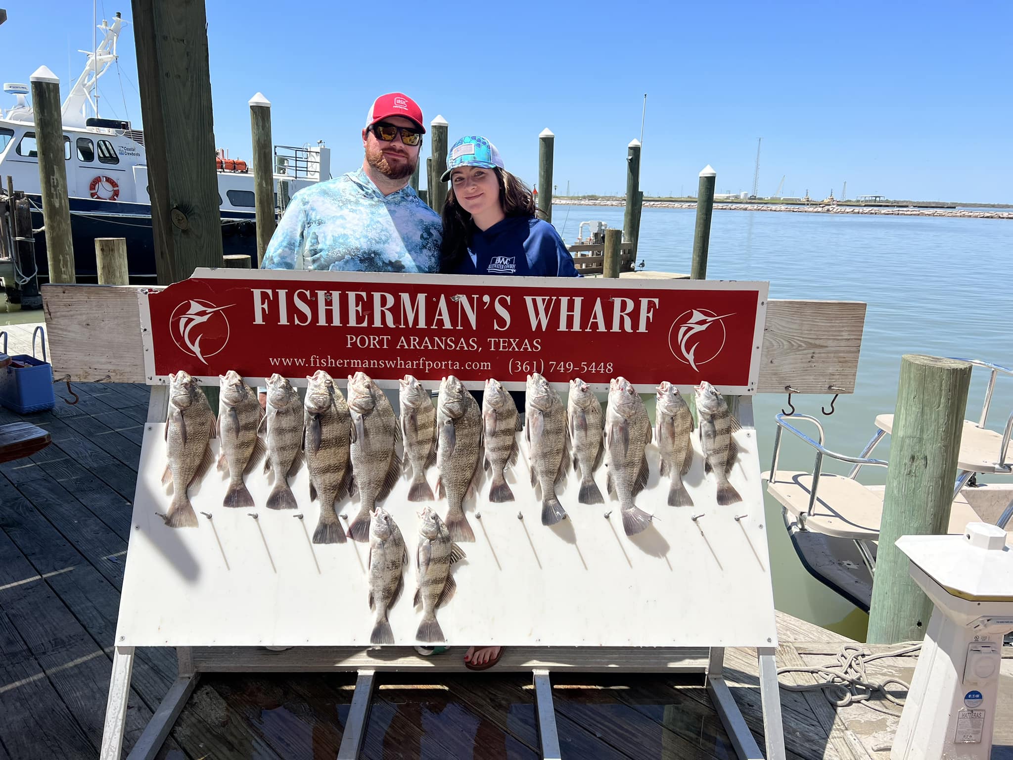 Five black drum fish caught while fishing in Port Aransas