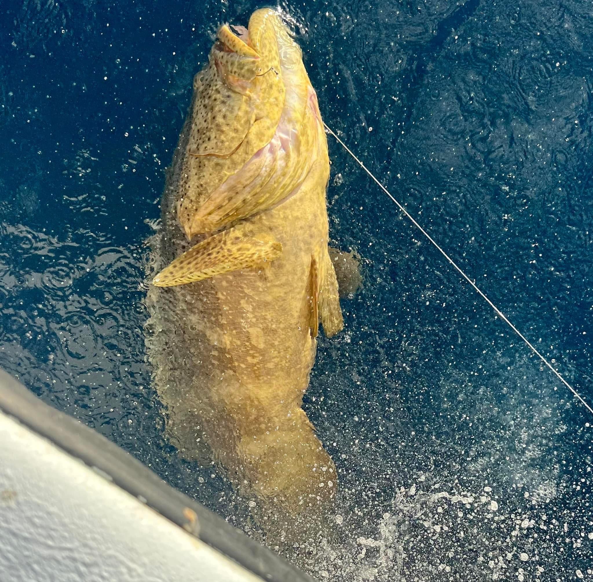 A stunning fishing shot in FL