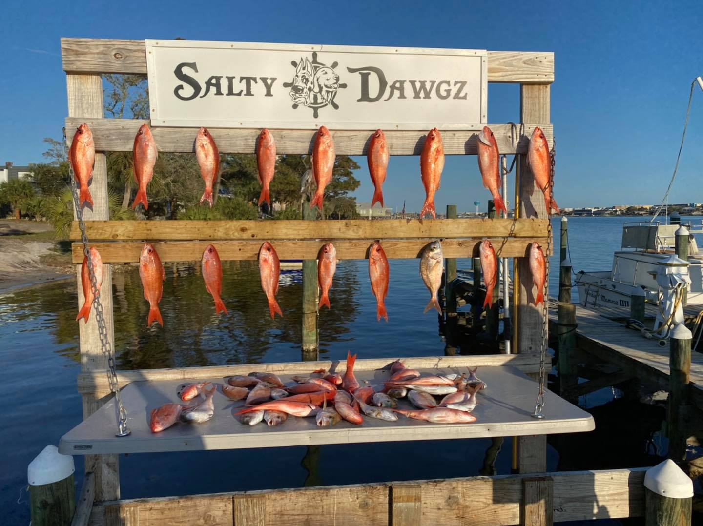 7 fish caught in FL