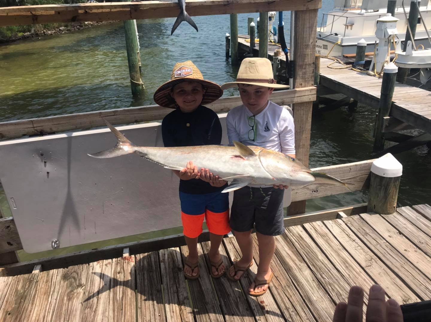 A huge greater amberjack caught while fishing in FL