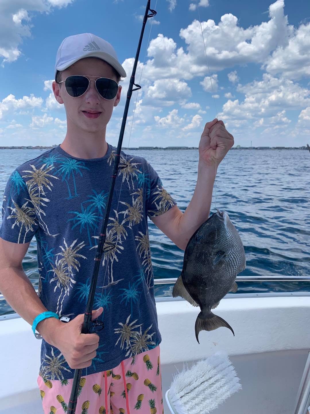 Photograph of a Grey Triggerfish caught in Fort Walton Beach