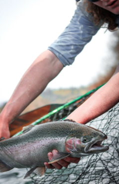 Rainbow trout fishing in Oregon