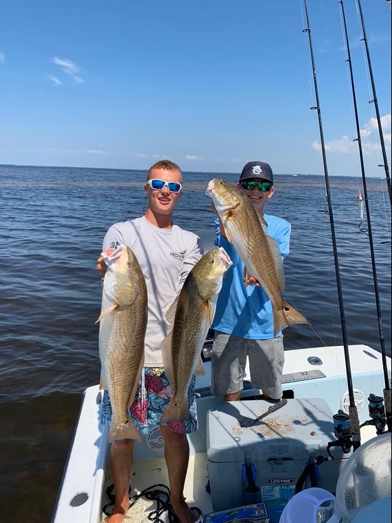 3 redfish caught while fishing in FL