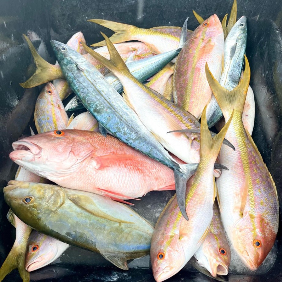 6 fishing in FL