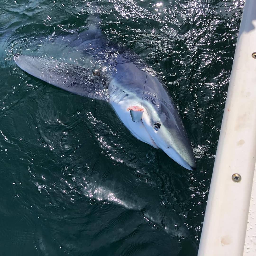 Best great fishing trip in Orleans