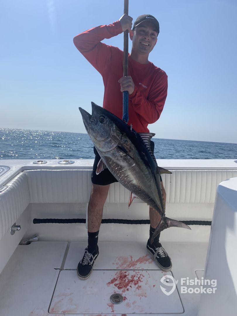 Blackfin tuna, a 23-inch fish caught while fishing in San Diego