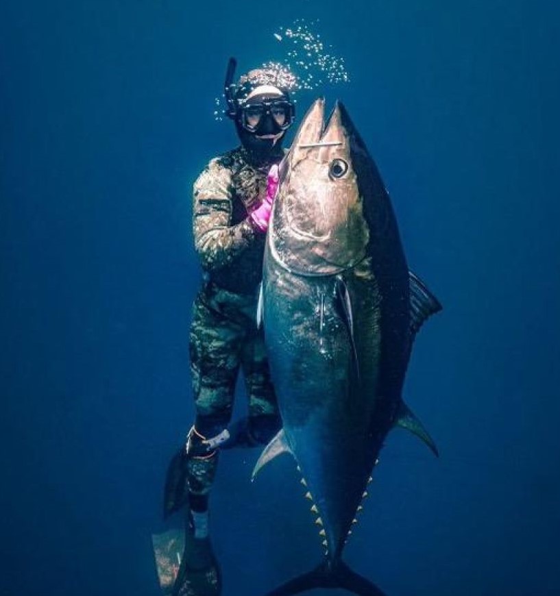 One person fishing in CA