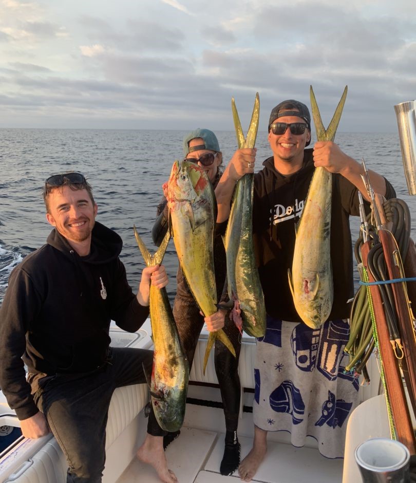4 fish caught while fishing in CA