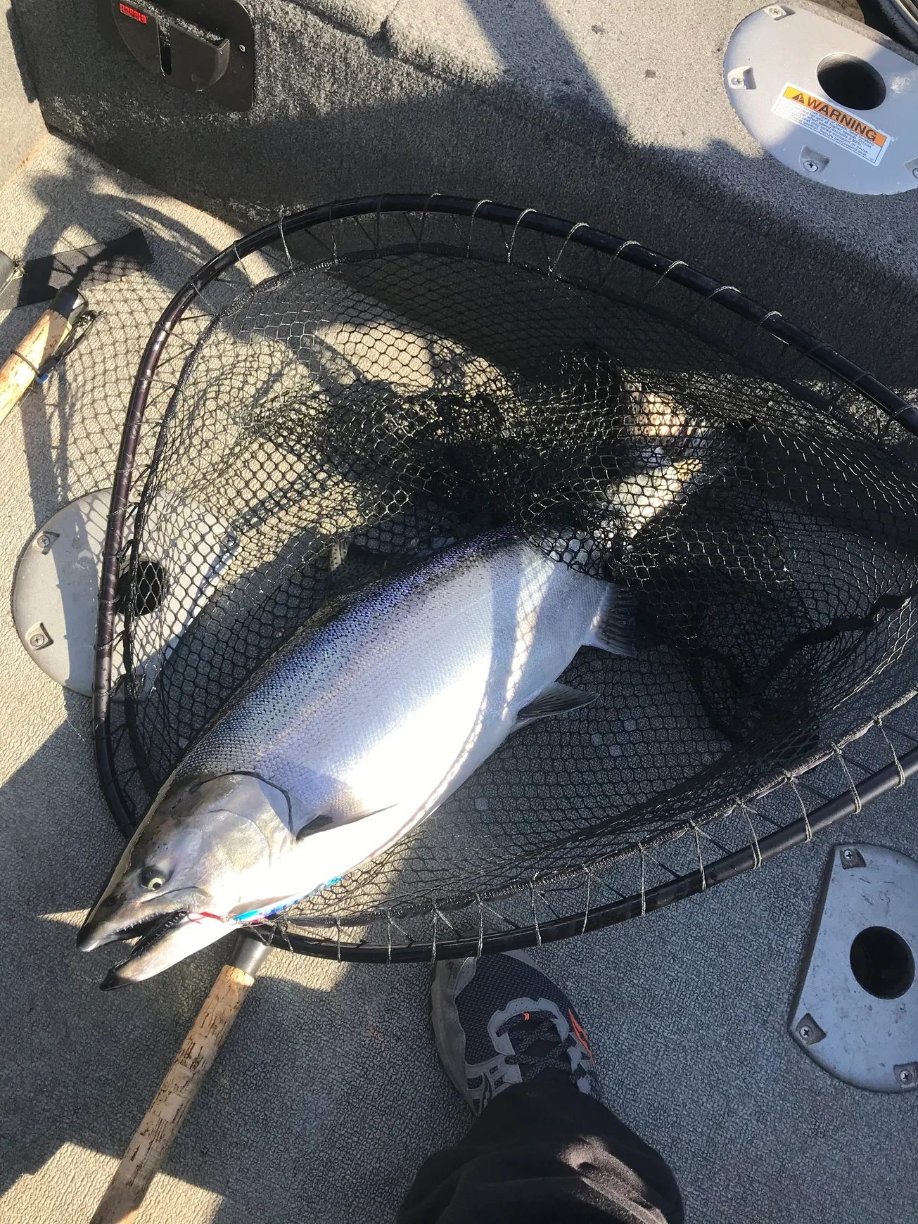 Fisherman catching a fish in ON