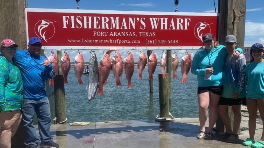 A group of 6 unspecified fish caught in Port Aransas