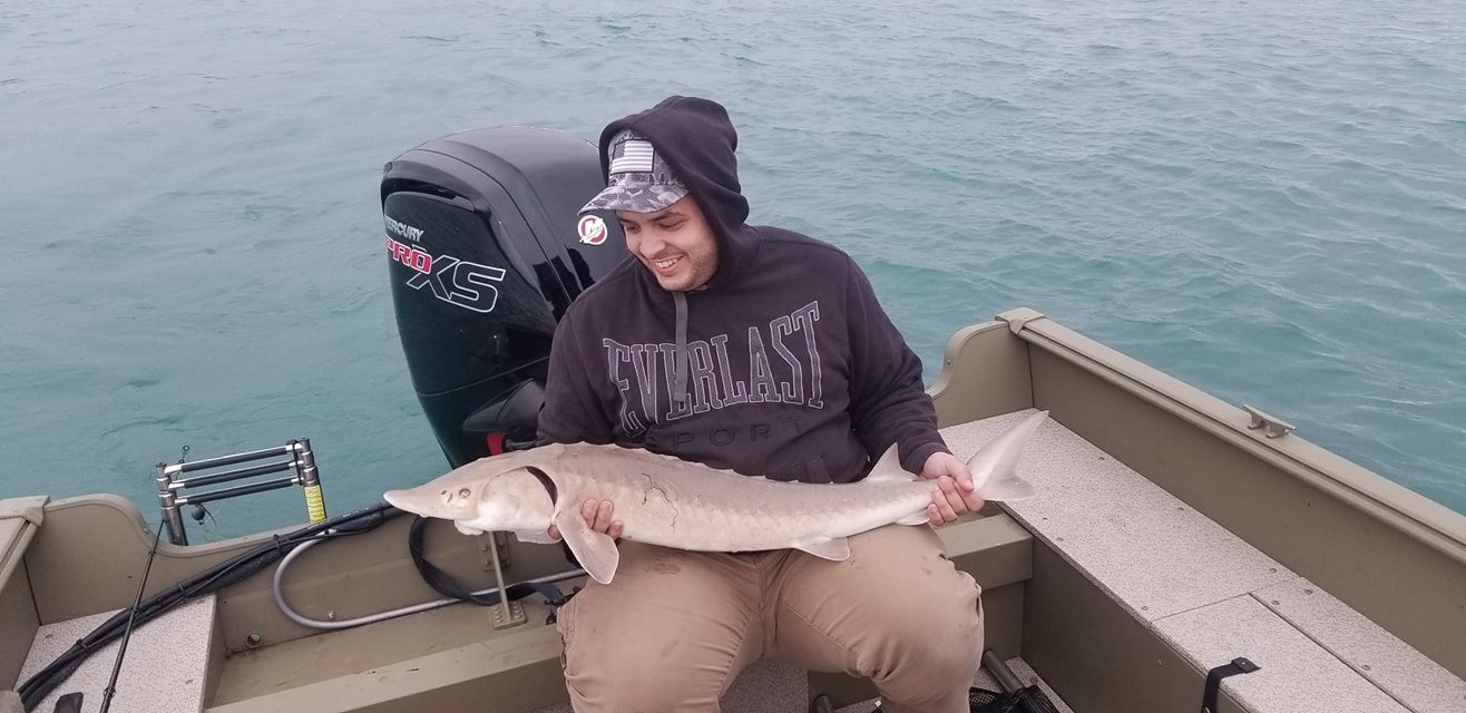 Impressive lake sturgeon caught in Harrison Charter Township