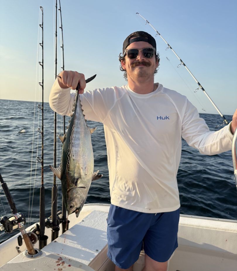 Little Tunny fish being caught while fishing in FL